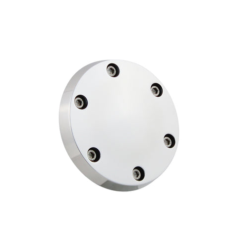 Polished Horn Delete Cover Plate - 6 Hole